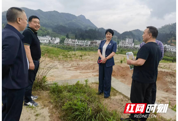 常宁西岭镇欢乐时光，最新新闻与温馨日常