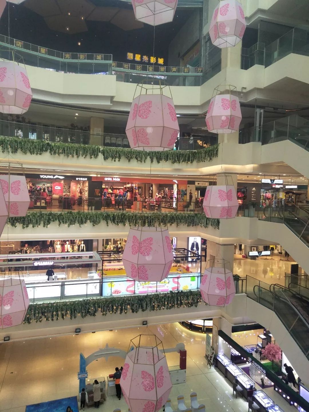 荥阳豪布斯卡最新动态，全面了解与参与指南