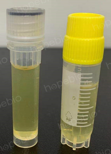 液体菌种奇幻之旅，最新制作方法与揭秘揭秘