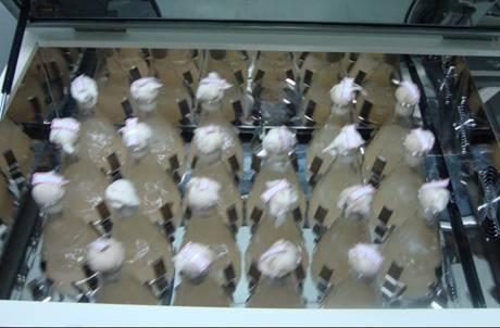 液体菌种奇幻之旅,最新制作方法与揭秘揭秘