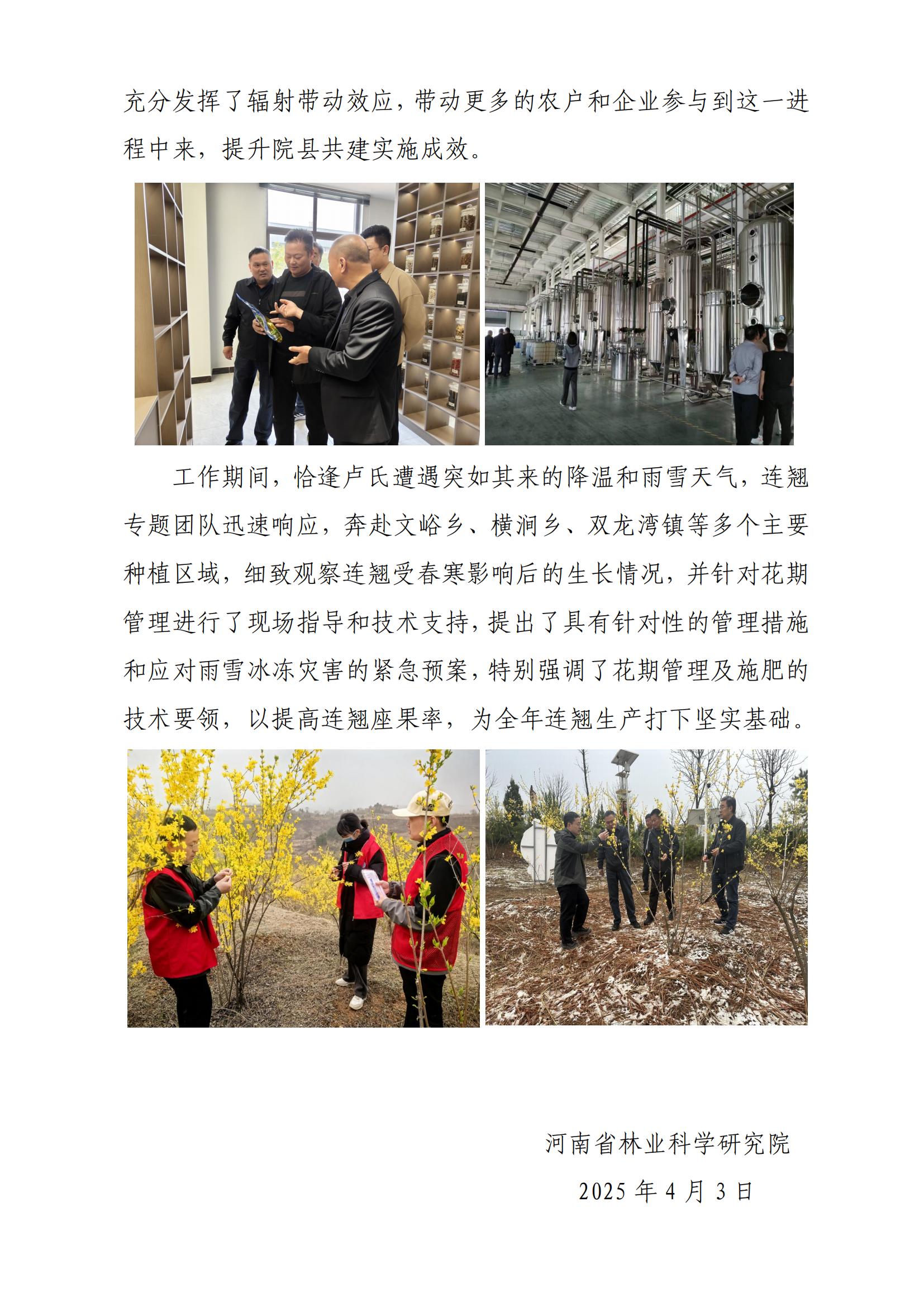 2025卢氏吧最新消息概览