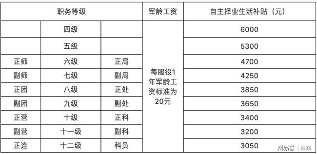 最新自主择业金计算器，深度分析与观点阐述指南
